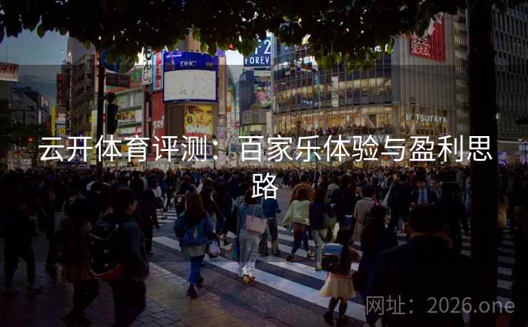 云开体育评测：百家乐体验与盈利思路