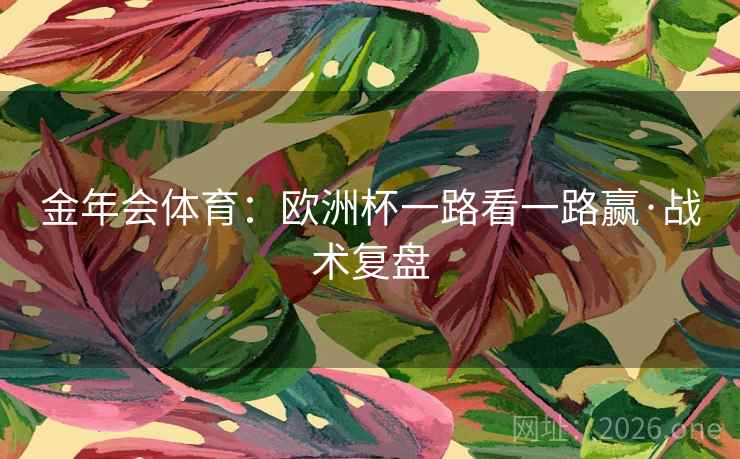 金年会体育:欧洲杯一路看一路赢·战术复盘 金年会体育:欧洲杯一路看一路赢·战术复盘