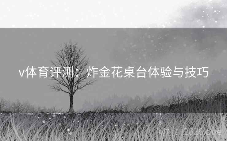v体育评测:炸金花桌台体验与技巧 v体育评测:炸金花桌台体验与技巧