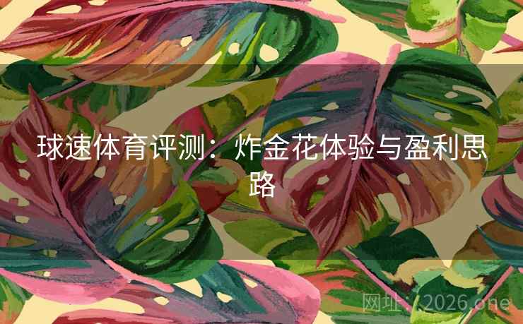 球速体育评测:炸金花体验与盈利思路 球速体育评测:炸金花体验与盈利思路