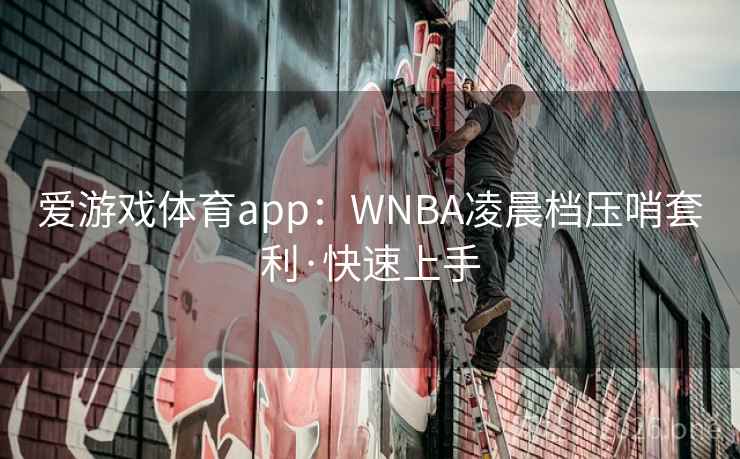 爱游戏体育app:WNBA凌晨档压哨套利·快速上手 爱游戏体育app:WNBA凌晨档压哨套利·快速上手